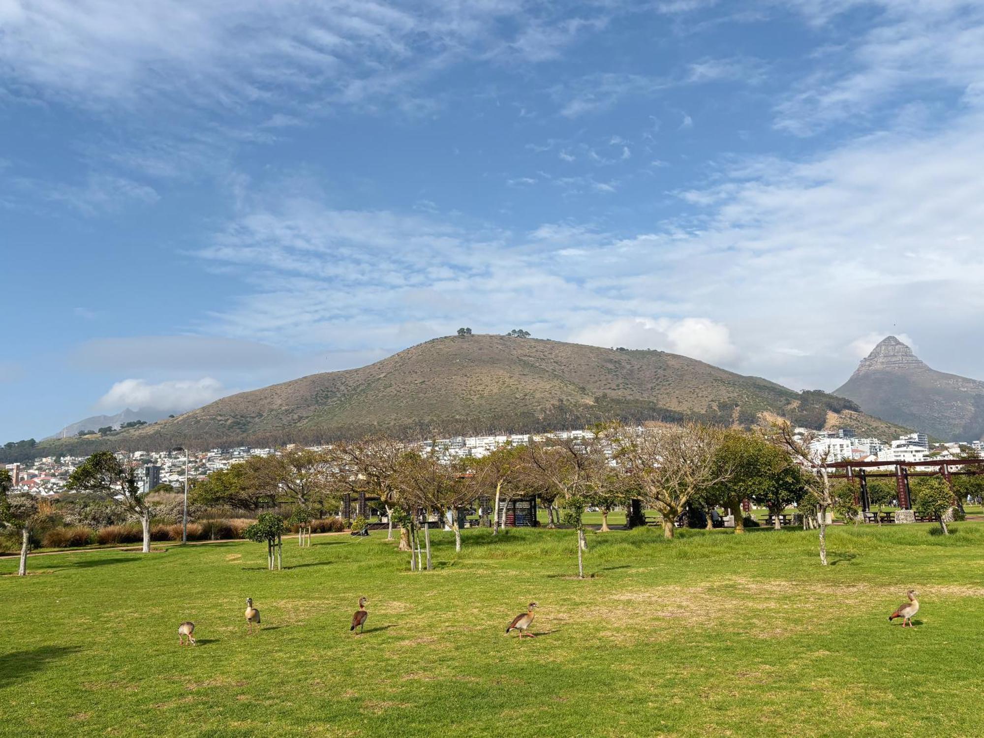 Cosy, Eclectic In Sea Point Appartement Le Cap